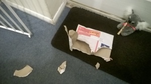 What the hell was in this parcel?!